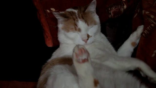 Canon EOS 1100D kit lens video test 02 смотреть онлайн