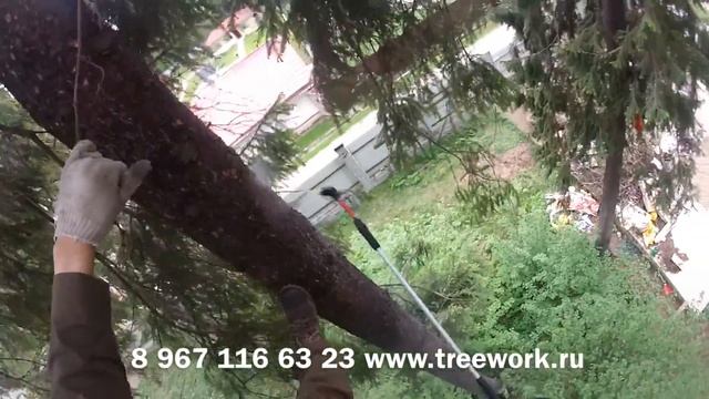 Обработка от короеда смотреть онлайн