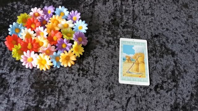 Гадание на Будущее.Карта Дня 3.07.Все знаки зодиаков. Тайм-код в коммент.Гадание онлайн.Карта Таро смотреть онлайн