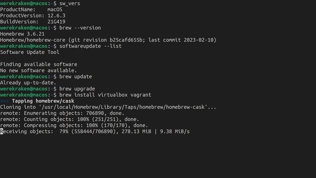 Installing Vagrant on macOS 12 [Vagrant: Development Environments Made Easy] смотреть онлайн
