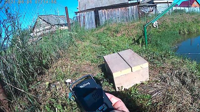 Разведение рыбы в пруду КАРП. смотреть онлайн