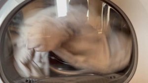 Подробный отзыв узкой сушильной Beko DF7412GA машины