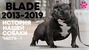 История жизни и смерти Блэйда. Редчайшая болезнь. Пришло время всё рассказать! [Часть 1 из 2 ]