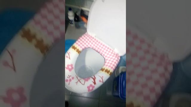 Как мы из прихожей,сделали ванную комнату и маленький колидор смотреть онлайн