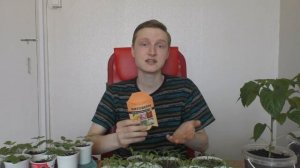 Вредители на рассаде и цветах | Чем опрыскать (обработать) рассаду перца от вредителей (тли, клеща)