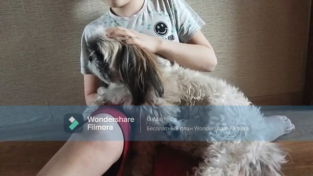 Ярик флексит (original Meme)