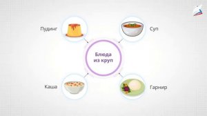 Крупы, их пищевая ценность  Приготовление блюд из круп