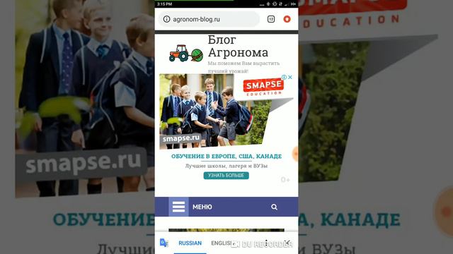 Сайт о садоводстве с частичкой души за 90 000 рублей - Обзор лота на телдери смотреть онлайн