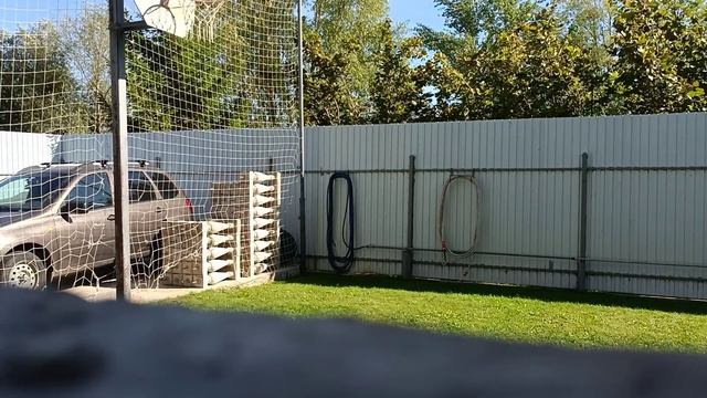 баскетбол смотреть онлайн