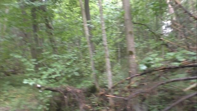 Природный парк Карачарово 2022г смотреть онлайн