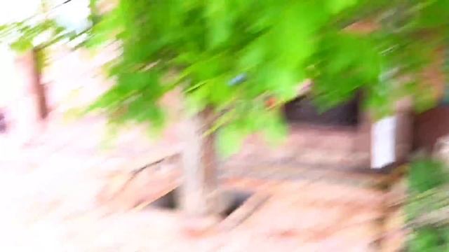 Домовладельцы