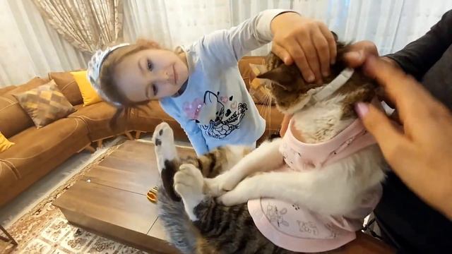 Новый костюмчик для нашей кошечки.Видео для детей игра для детей. смотреть онлайн