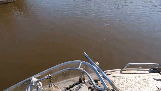 Трудовой сом!! смотреть онлайн