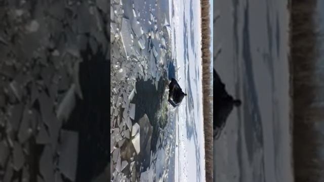 Вездеход арго смотреть онлайн