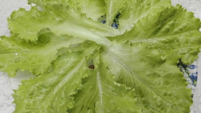 Рецепты от шеф-повара