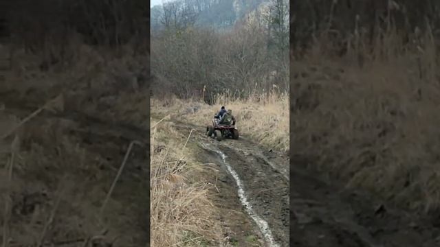 Зверь?, так называют этот квадроцикл наши клиенты. Hammer TAYGA 300 cc 4x4 ?? смотреть онлайн