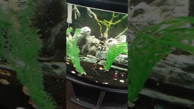 ###Самара,Зал ожидания### смотреть онлайн