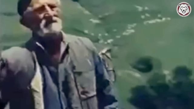 10 СУМАСШЕДШИХ БИТВ СОБАК Против Хищников, Снятых на Камеру смотреть онлайн