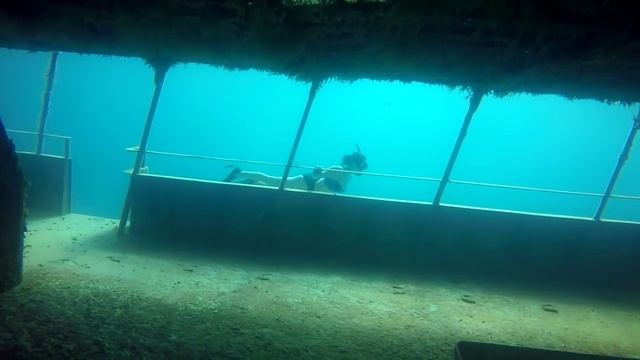 Freediving Bermuda ~ Sea Venture Shipwreck смотреть онлайн