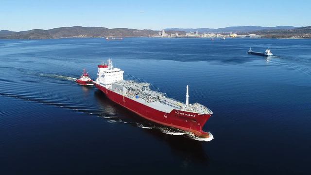 Clipper Harald смотреть онлайн