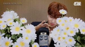 KPOP Idols ASMR Compilation (Mic Scratching & Brushing)