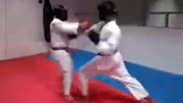 Karate Shotokan ,treino UFC