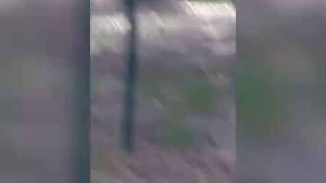 База отдыха города Липецк Бригантина ? смотреть онлайн