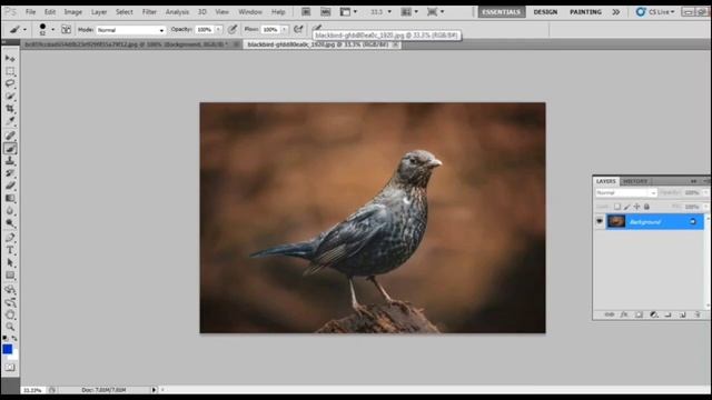 मिनट में कीसी वस्तु को हटाये, how to remove object in photoshop? смотреть онлайн