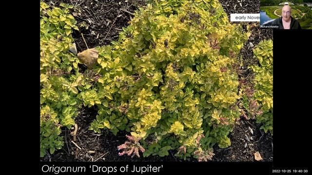 Proving their Worth: Plant Evaluation Trials at Chicago Botanic Garden смотреть онлайн