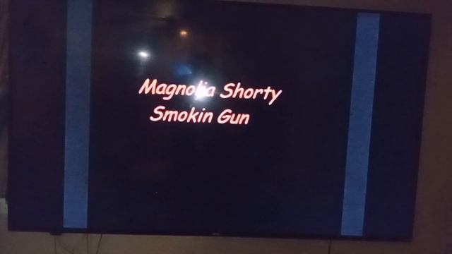 New Orleans on magnolia shorty смотреть онлайн