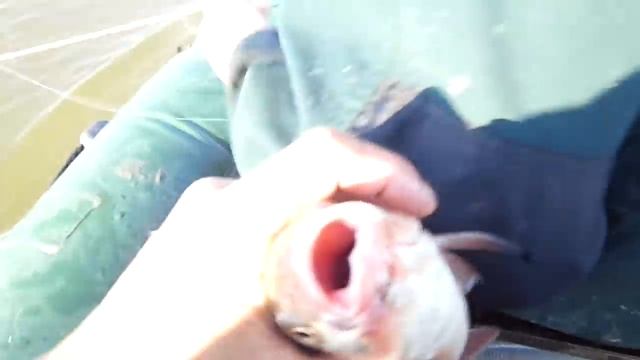 Самая простая,но уловистая снасть! смотреть онлайн