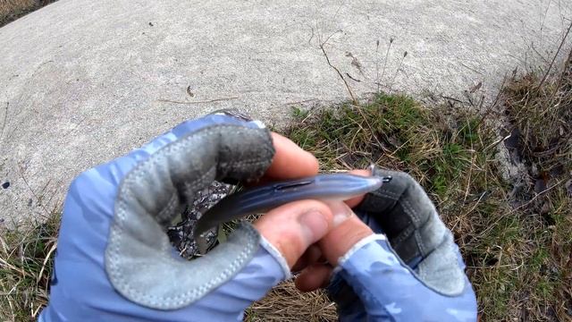 Щука Маскинонг на спиннинг с берега. Рыба моей мечты !!!! смотреть онлайн