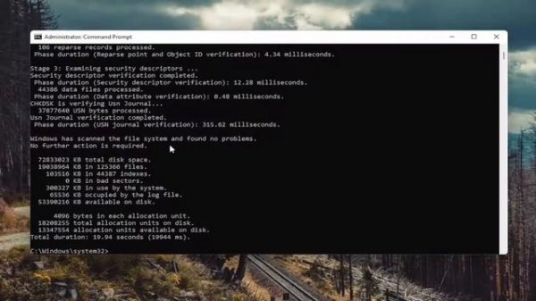 Setup.exe Not Opening Windows 11 FIX