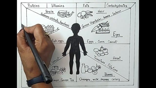 Balanced diet chart drawing for school project l How to draw a chart of balanced diet step by step смотреть онлайн