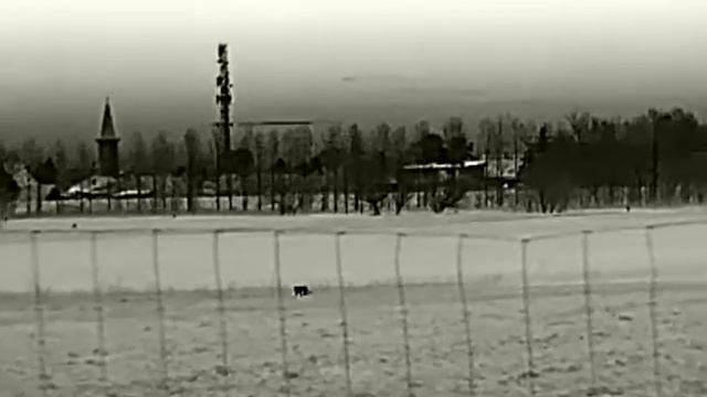 Infiray CBL25 - Roka es nyul смотреть онлайн