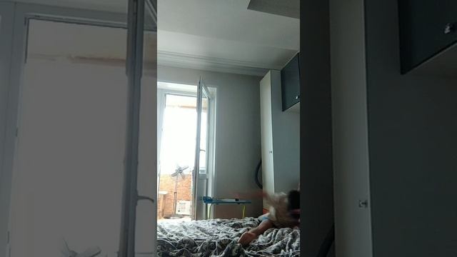 VID-20230924-WA0001.mp4 смотреть онлайн