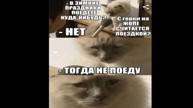 МЕМОЛОГИЯ УРОК 10//#мемология //#мемы //#приколы //#рекомендации смотреть онлайн