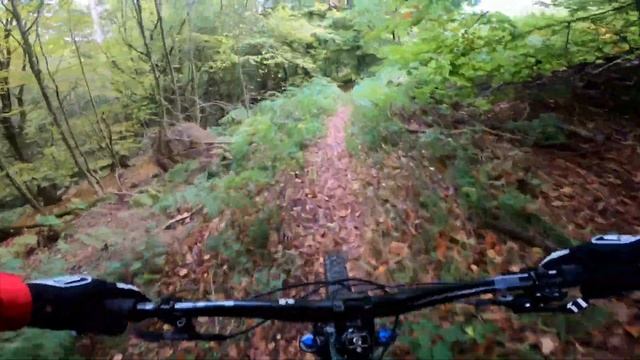 Das Enduro Bike = Die Eierlegendewollmilchsau ? Herbst Tour mit dem Cube Stereo 170 смотреть онлайн