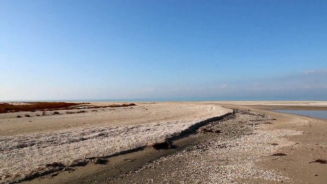 Прогулки по Дальней Косе смотреть онлайн