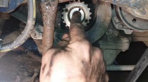 Renault 1.9 dci. Как заменить ремень ГРМ.