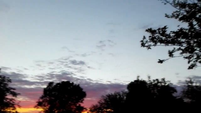 Весенние трели соловья смотреть онлайн
