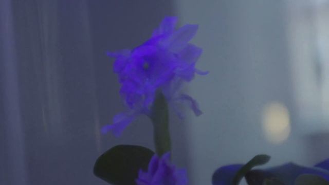 Перформанс Александры Сухаревой «Двойник» | «Генеральная репетиция», Акт III смотреть онлайн