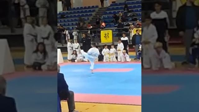 Taekwondo Giuseppe Santoro смотреть онлайн