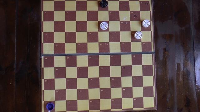 Международные (стоклеточные) шашки.  International Draughts