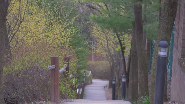 Panasonic GH4 35-100mm f2.8 lens : UHD Video, Colors of spring 2015,YongIn Korea смотреть онлайн