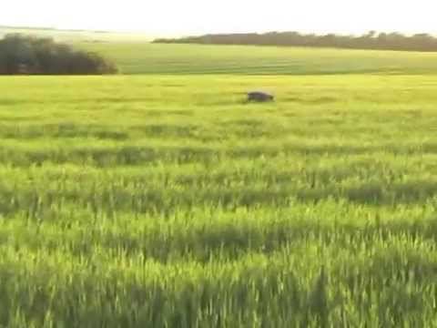 3-4. 06. 2015г смотреть онлайн