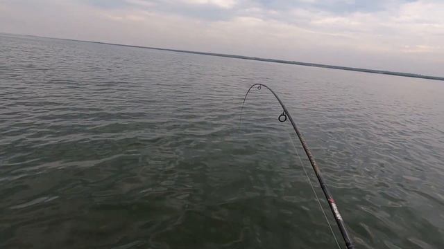 Рыбалка по судаку в балке Большая Садковка Веселовский район Ростовская область смотреть онлайн