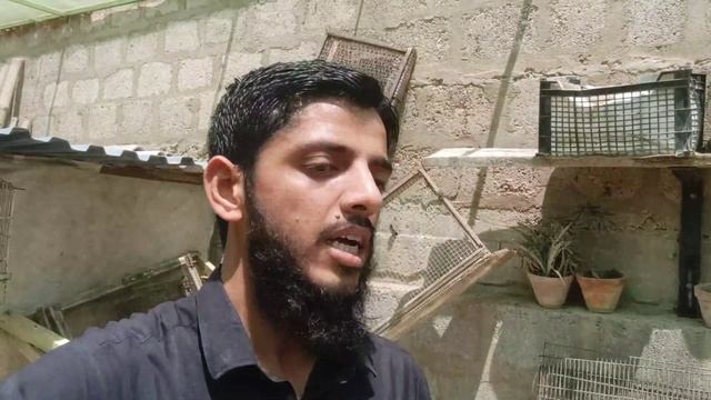 Giveaway Important Announcement | Khubaib Pets смотреть онлайн