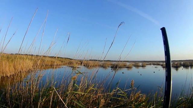 Откритие охоты нас "УДИВИЛО" смотреть онлайн