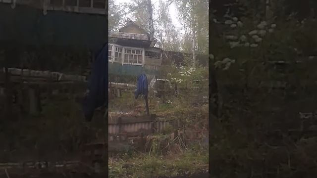Дача картошка 2 смотреть онлайн